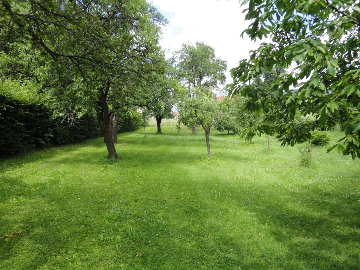 Zeilinger Villa Knittelfeld Eksteriør billede